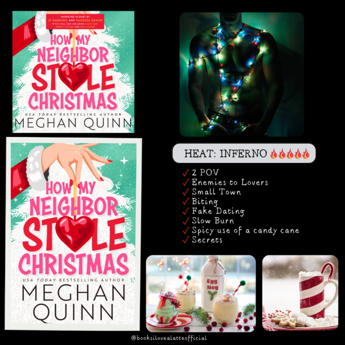 2 POV Enemies to Lovers Small Town Bitingh Fake Dating Slow Burn Spicy use of a candy cane Secrets 1 680x680 Book Review & Excerpt: How My Neighbor Stole Christmas by Meghan Quinn