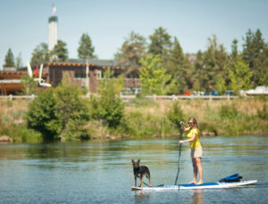 Tawna SUPing with Bindi standup paddleboard 300x228 Coffee With USA Today Bestselling Romantic Comedy Author Tawna Fenske