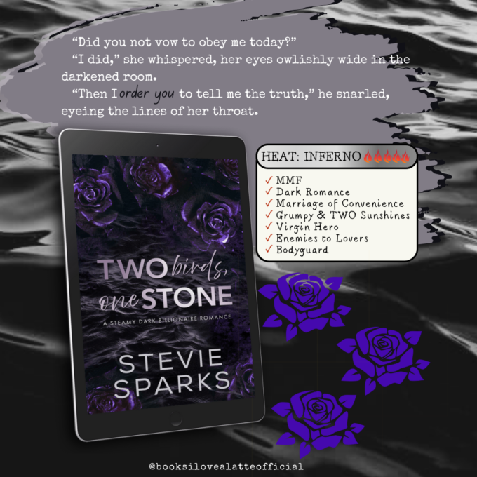Book Review: Two birds, one Stone by Stevie Sparks Did you not vow to obey me today I did she whispered her eyes owlishly wide in the darkened room. Then I order you to tell me the truth he snarled 680x680 Book Review: Two birds, one Stone by Stevie Sparks