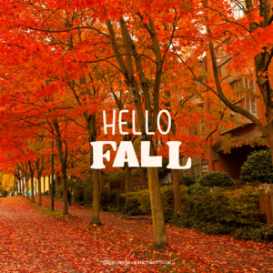 Hello 300x300 Hello Fall